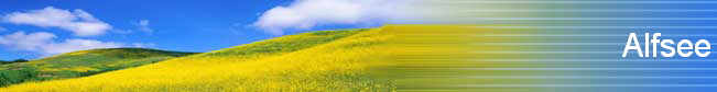 Alfsee